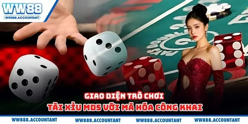Giao diện trò chơi tài xỉu MD5 với mã hóa công khai